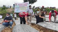 Pemkab Temanggung Dorong Petani Tingkatkan Produksi Bawang Putih