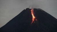 Hari Ini, Merapi 12 Kali Luncurkan Guguran Lava