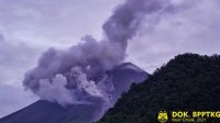 Merapi ‘Batuk’ Lagi, Keluarkan Tiga Kali Awan Panas Sejauh hingga 1.200 Meter