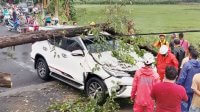 Pulang Plesiran, Mobil Hancur Tertimpa Pohon