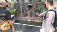 Kadus di Tawangmangu Meninggal saat Perbaiki Instalasi Listrik Kolam Ikan