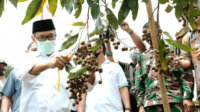 Bupati Temanggung Dorong Bejen Fruit Garden Jadi Wisata Unggulan