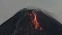 Merapi Luncurkan Guguran Lava Pijar Sejauh 2 Km