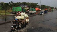 Sudah Seminggu Banjir Rob Genangi Jalan Arteri Yos Sudarso Semarang