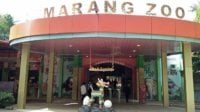 Tutup Selama PPKM Darurat, Semarang Zoo Layani Piknik secara Virtual