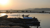 Hindari Mati Masal, Petani Ikan Waduk Gajah Mungkur Kurangi Bibit Ikan