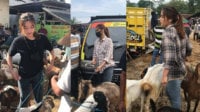 Candra Dwi Febriani, Mahasiswi Cantik yang Jadi Penjual Kambing: Banyak yang Nggak Percaya