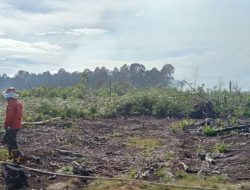 BNPB: Pemadaman karhutla di Pesisir Selatan dilanjutkan