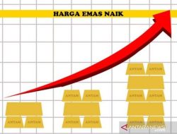 Emas menguat di tengah ketegangan atas kesepakatan tentatif utang AS