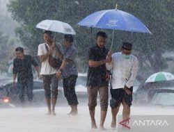 Sejumlah provinsi berpeluang mengalami hujan lebat dan angin kencang