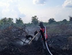 BPBD Palangka Raya catat 22 kasus kebakaran hutan dan lahan