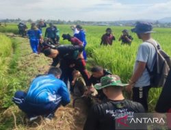 Peserta Latsitardanus XLIII lakukan pembersihan irigasi sawah di Solok