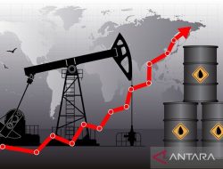 Minyak naik ditopang kesepakatan utang AS dan data pekerjaan yang kuat