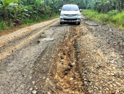 Akses jalan menuju objek wisata Temiangan Hill Lampung Barat rusak